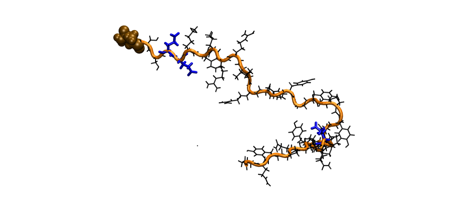 Statherin